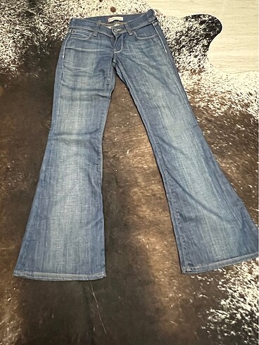 Levis kot