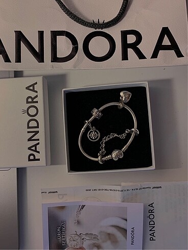 Pandora pandora