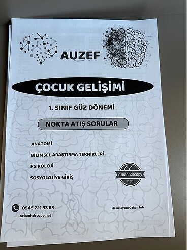 Nokta atışı sorular