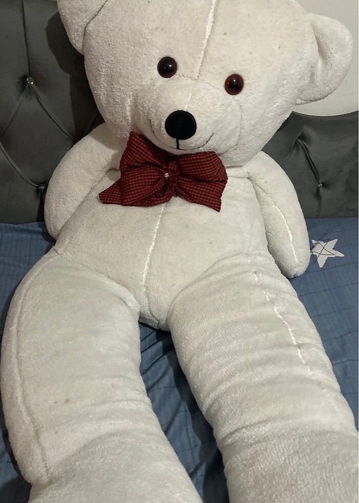 büyük ayı - Görsel 2