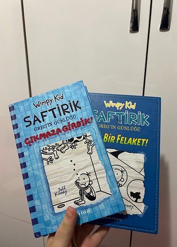 Saftirik Greg'in Günlüğü Kitapları - Görsel 2