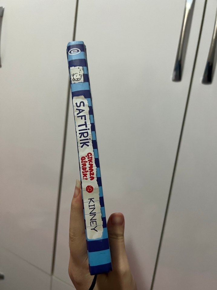 Saftirik Greg'in Günlüğü Kitapları - Görsel 4