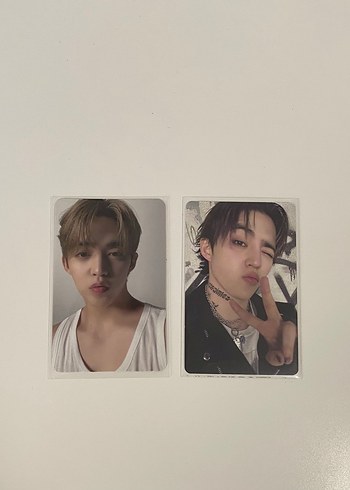 scoups özel ilan