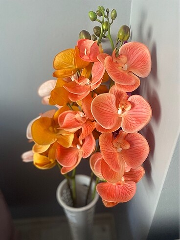 Beden çeşitli Renk Orkide yapay çiçek