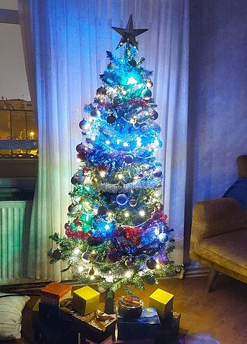 Çam ağacı yıldızı  - Görsel 2