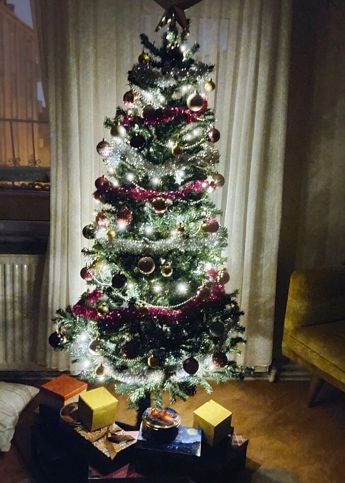 Yılbaşı ağacı - çam ağacı - Görsel 2