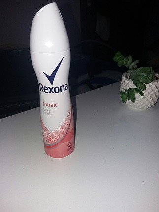 rexona musk deodorant