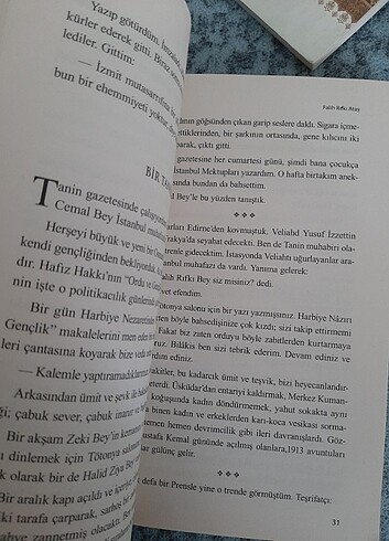  ZeytinDağı Falih Rıfkı Atay