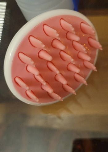 Mavi Seyahat Kedisi Su Şişesi ve Tüy Tarağı - Görsel 4