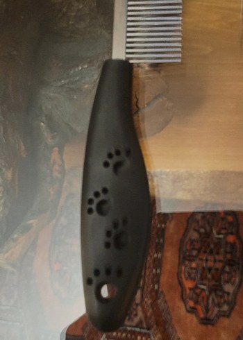 Mavi Seyahat Kedisi Su Şişesi ve Tüy Tarağı - Görsel 3