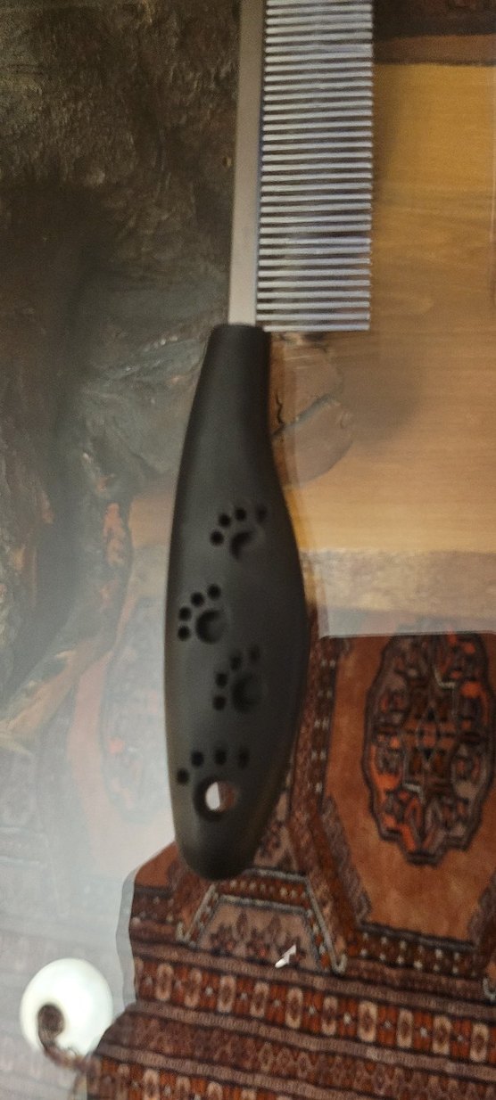 Mavi Seyahat Kedisi Su Şişesi ve Tüy Tarağı - Görsel 3