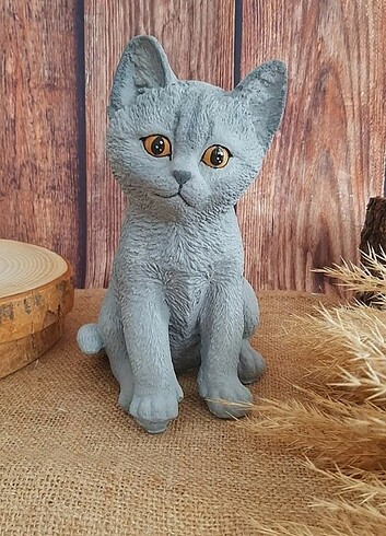 Sevimli kedi