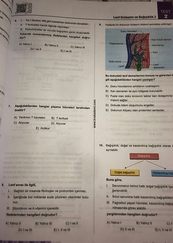 AYT Dr. Biyoloji Soru Bankası Barış Hoca - Görsel 5
