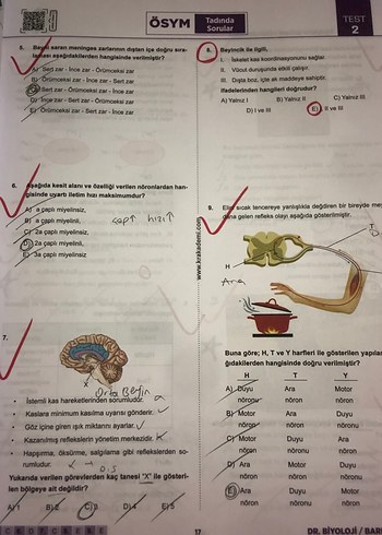 AYT Dr. Biyoloji Soru Bankası Barış Hoca - Görsel 3
