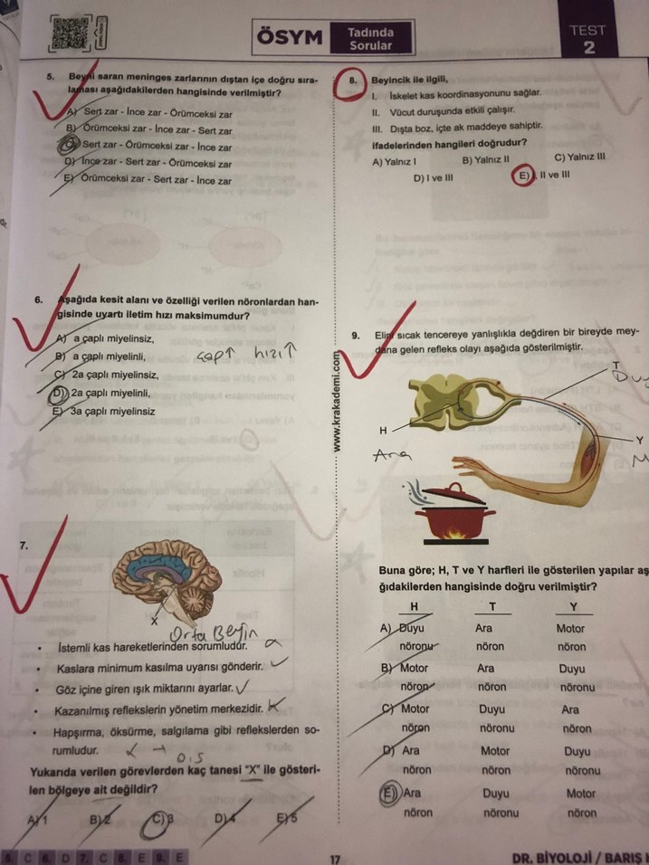 AYT Dr. Biyoloji Soru Bankası Barış Hoca - Görsel 3