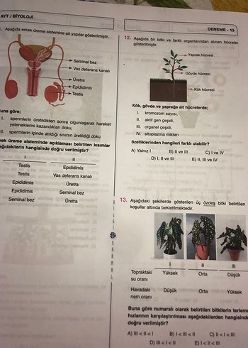 Biyoloji AYT Branş Denemeleri 25x13 - Görsel 5