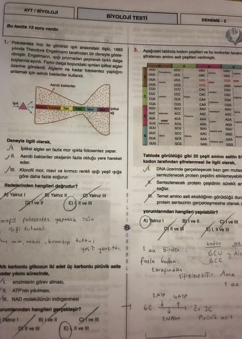 Biyoloji AYT Branş Denemeleri 25x13 - Görsel 3