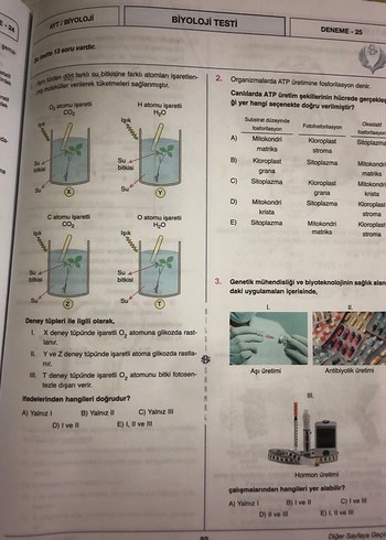 Biyoloji AYT Branş Denemeleri 25x13 - Görsel 6