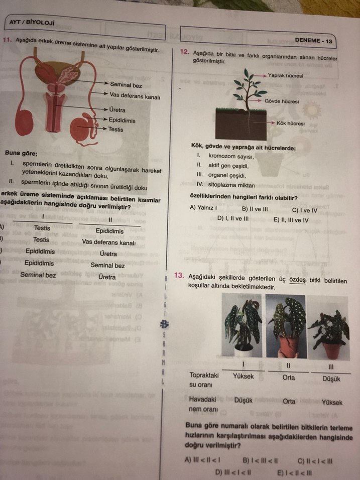 Biyoloji AYT Branş Denemeleri 25x13 - Görsel 5