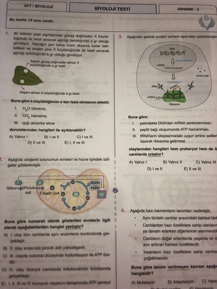 Biyoloji AYT Branş Denemeleri 25x13 - Görsel 4