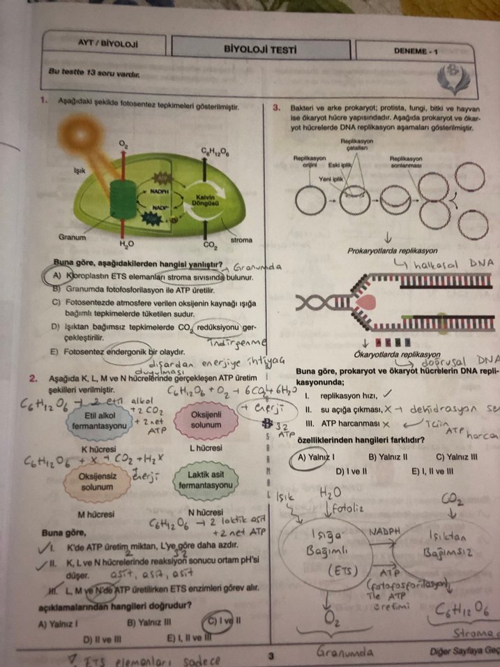 Biyoloji AYT Branş Denemeleri 25x13 - Görsel 2