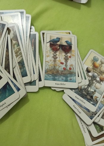 Beden Renk Mistik Orman Tarot Destesi