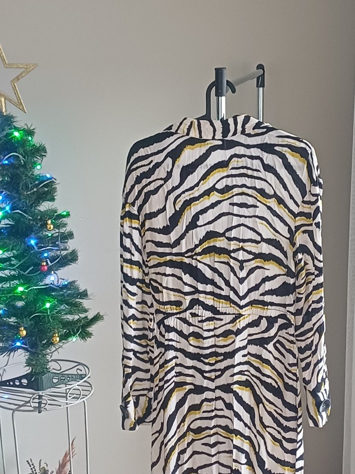 Zebra Desenli Uzun Kollu Kadın Elbise - Görsel 2