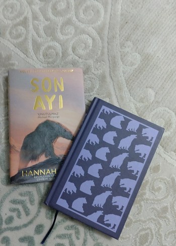 SON AYI  HANNAH GOLD - Görsel 3