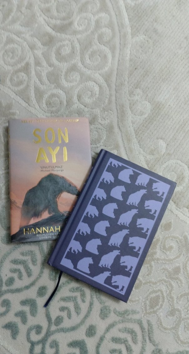 SON AYI  HANNAH GOLD - Görsel 3