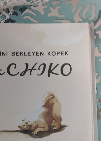 Sahibini Bekleyen Köpek Hachiko Romanı - Görsel 5