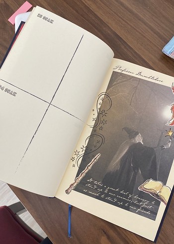  Beden Renk Harry Potter Ajanda Defteri