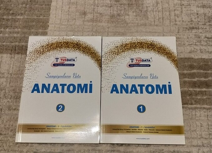 Anatomi