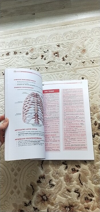  Beden Renk ANATOMİ,TUSDATA
