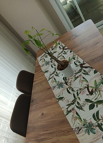  Beden Runner