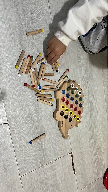 Beden Renk Montessori kirpi oyunu