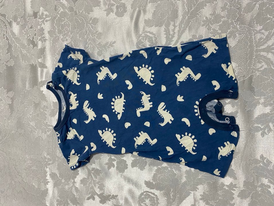 Lacivert Dinozor Desenli Erkek Bebek Tulum - Görsel 2