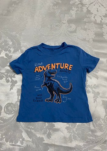 Erkek Çocuk Mavi Baskılı Kısa Kollu Tişört - Görsel 3