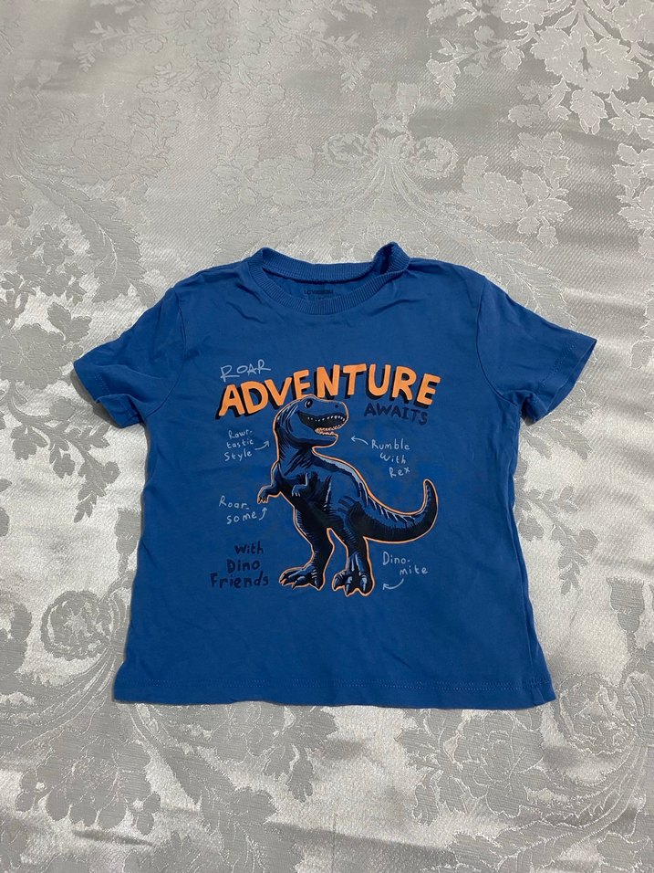 Erkek Çocuk Mavi Baskılı Kısa Kollu Tişört - Görsel 2
