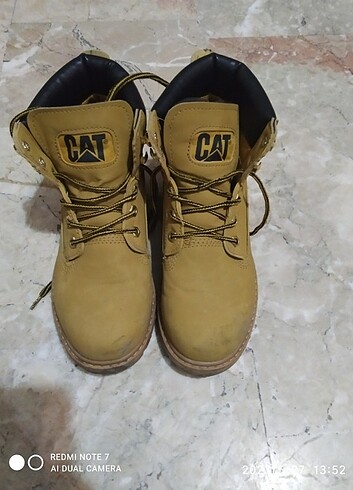 Cat bot