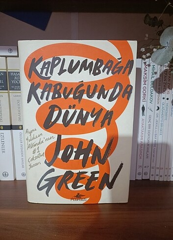 Kaplumbağa Kabuğunda Dünya