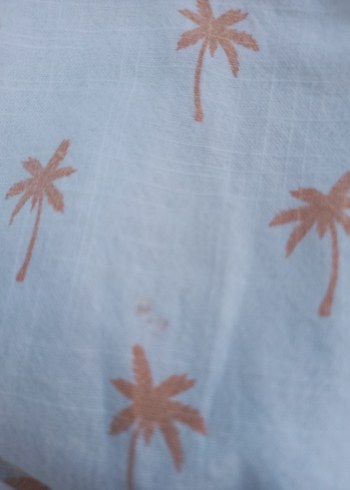 Bebek Erkek Kısa Kollu Gömlek ve Denim Şort Takımı - Görsel 5