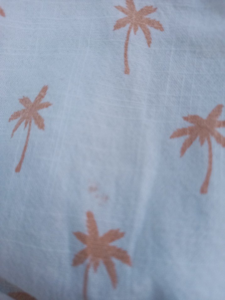 Bebek Erkek Kısa Kollu Gömlek ve Denim Şort Takımı - Görsel 5