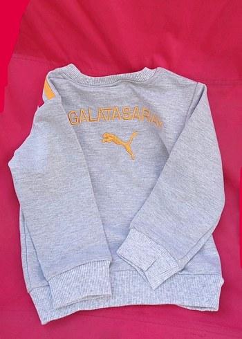 3 iplik Erkek Çocuk Gri Baskılı Sweatshirt - Görsel 4