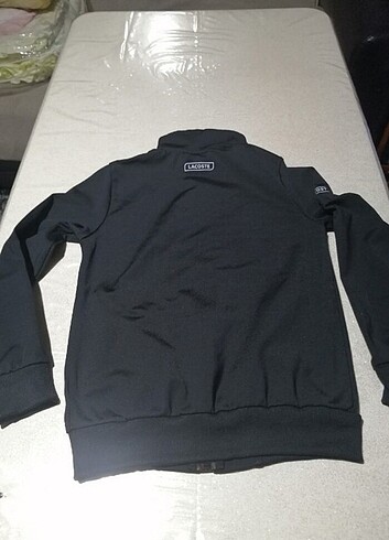 Lacoste lacoste eşofman üstü 