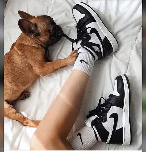 Nike air jordan