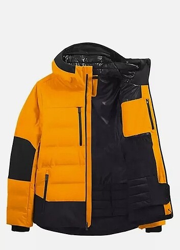 the north face
