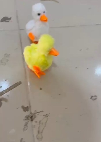 Beden Beyaz Peluş Ördek yürüyen Oyuncak