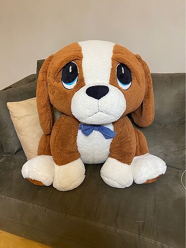 Üzgün köpek