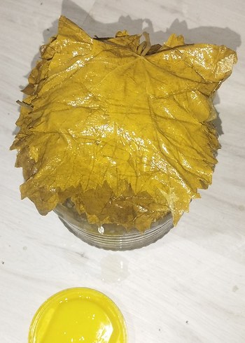 asma yaprağı - Görsel 4