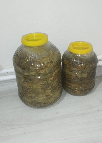 asma yaprağı - Görsel 2